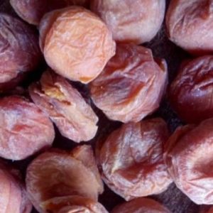 Dried Apricot Biscuit