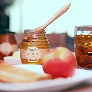 Russian Olive