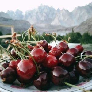 Hunza Cherry