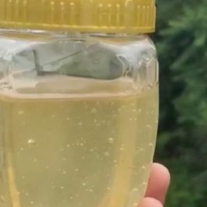 Robinia Honey